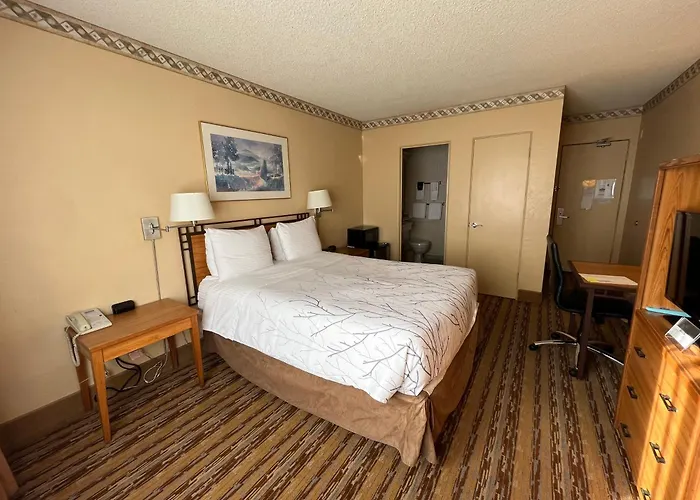 Best Hotels with Free Pier 66 Shuttle