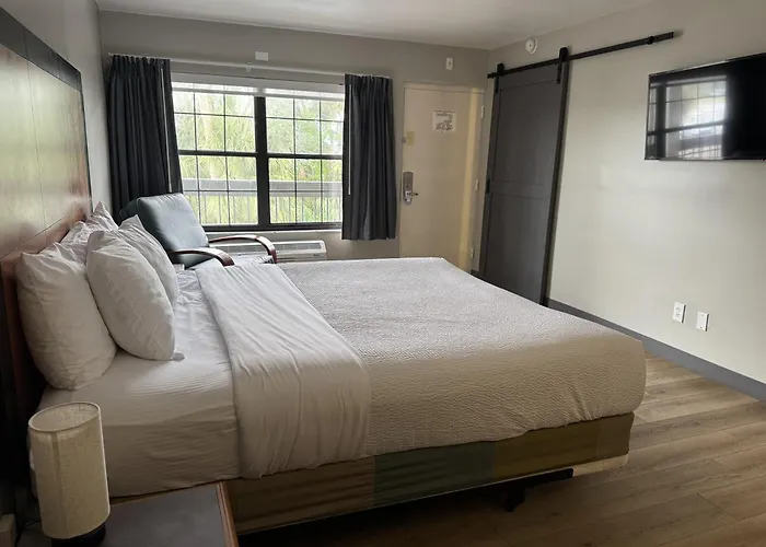 Top Hotels Near Tampa Airport with 24/7 Shuttle