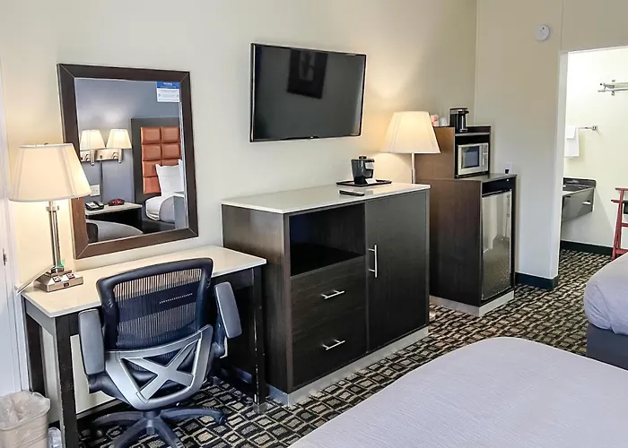 Top Hotels Near Tampa Cruise Port with Parking & Shuttle